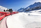 Trenino Rosso del Bernina: informazioni utili per una giornata da sogno ...