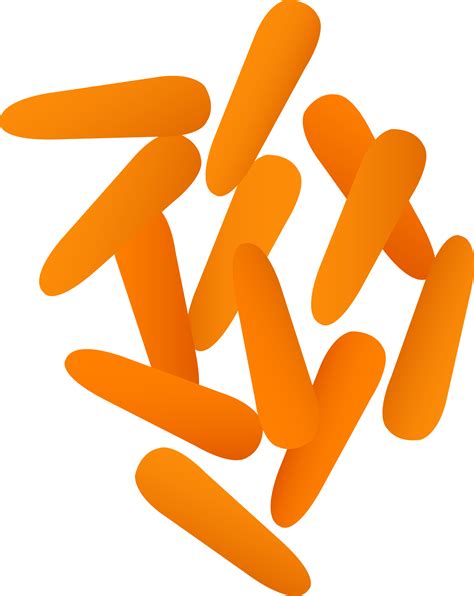 Small Orange Baby Carrots Free Clip Art
