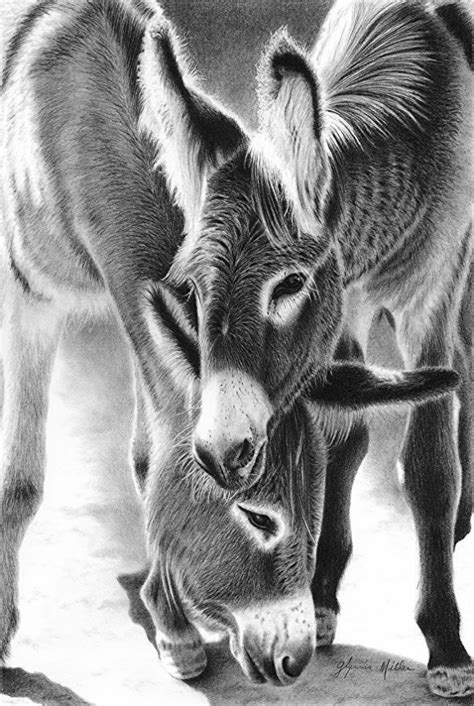 Animal beginner easy charcoal drawings. 85 Simple And Easy Pencil Drawings Of Animals For Every ...