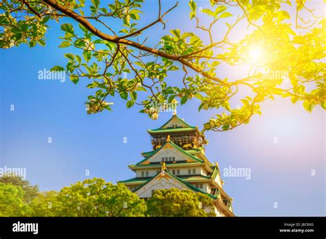 Osaka Castle Cherry Blossoms Stock Photo Alamy