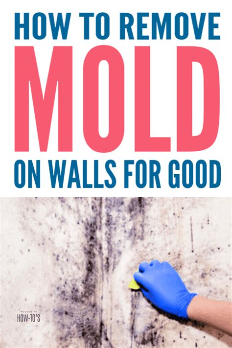How To Remove Mold From Walls For Good Housewife How Tos
