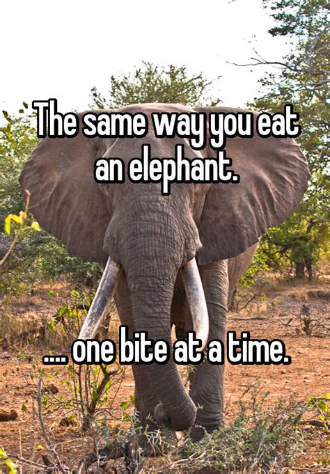 The Same Way You Eat An Elephant One Bite At A Time