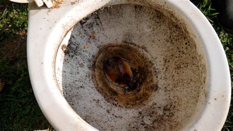 How To Clean A Very Dirty Toilet Photo And After Cleaning A Dirty
