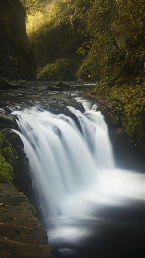 Waterfall Pouring On River Algae Covered Rocks Stones Bushes Trees