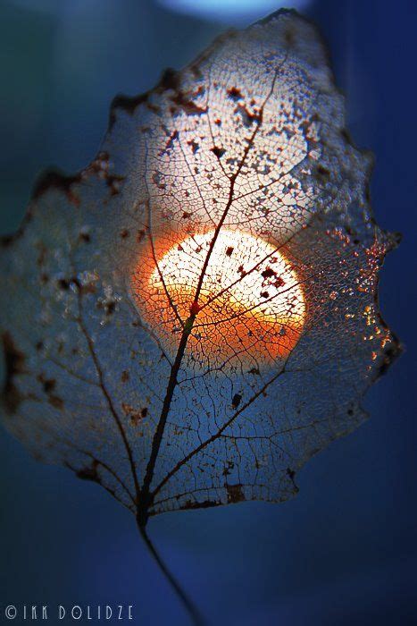 Sometimes the moon is so tiny it looks like a fingernail, and this photographer managed to catch it in a truly beautiful way that makes it look like it is disappearing. Pin by Pam Golden on LUNAS | Beautiful moon, Nature ...