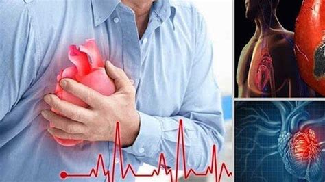 Misalnya penyakit aritmia jantung, gagal jantung, jantung koroner, dan lain sebagainya. Tips Untuk jantung Kamu Agar Lebih Sehat | Info Menarik ...