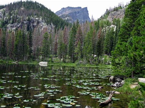 Papeis De Parede Parque Montanhas Cub Lake Rocky Mountain National Park