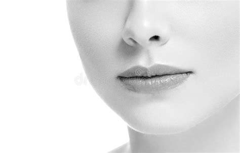 lips mouth smile woman beautiful pink natural lips female isolated on white monochrome stock