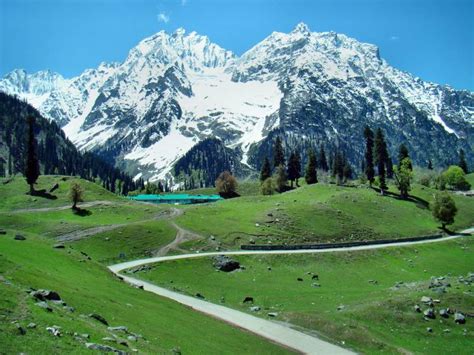 Beauty Of Kashmir Tour 183432holiday Packages To Srinagar Pahalgam