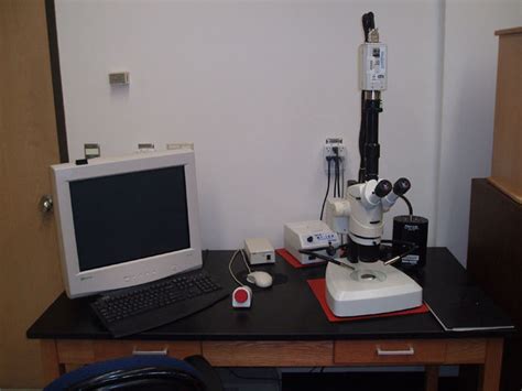 Leica Stereo Microscope Help Wiki
