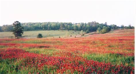 Maybe you would like to learn more about one of these? VRBO® | Mount Magazine State Park, US Vacation Rentals