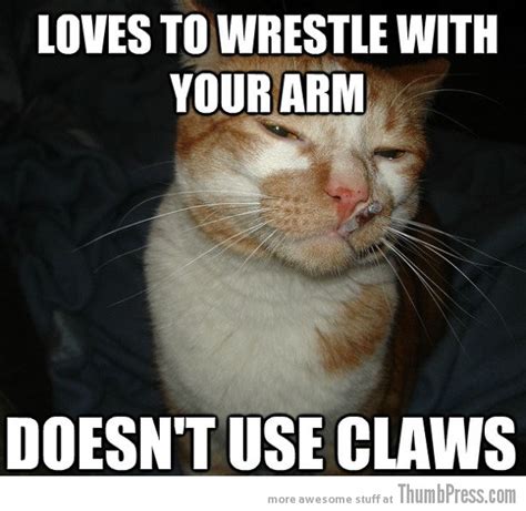 As Cool As It Gets Awesome Cool Cat Craig Memes 16 Pics