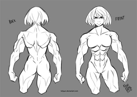 Study Female Muscle Anatomy By Lokigun Female Anatomy Reference