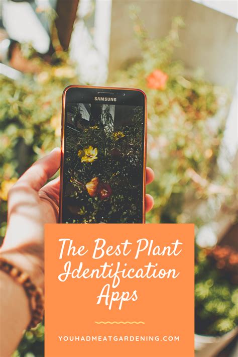 Plantnet is our number one pick for a totally free plant identification app. The Best Plant Identification Apps [Tested & Reviewed ...