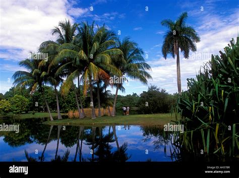 Fairchild Tropical Botanic Garden City Of Miami Miami Florida