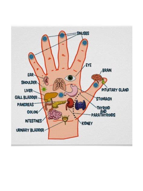 Hand Reflexology Chart Etsy
