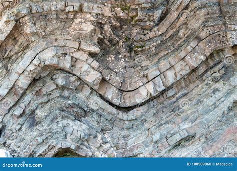 Geologic Fold In Rock Stock Photo Image Of Cliff Closeup