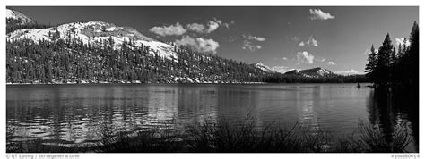 Panoramic Black And White Picturephoto Tenaya Lake And Peak In Early
