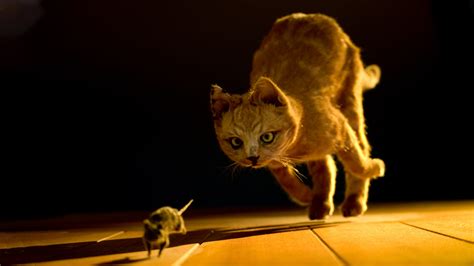 How To Train A Cat To Hunt Mice