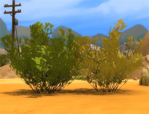 My Sims 4 Blog Liberated Desert Plants By Plasticbox