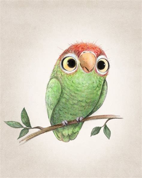 A Little Parrot Sydny H Cute Animal Illustration Animal Illustration