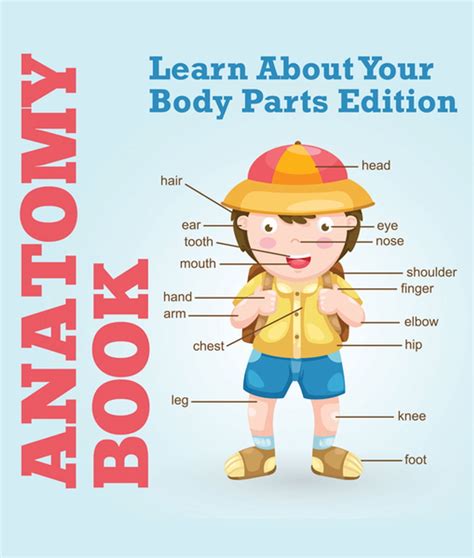 Anatomy Book Learn About Your Body Parts Edition Ebook By Speedy