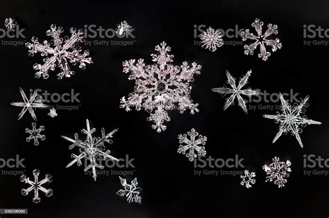 Snowflake Ice Crystals Closeup Denver Colorado Stock Photo