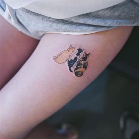 33 Ideas De Tatuajes De Gatos Para Mujeres Místicas Y Libres