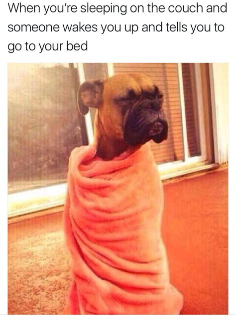 55 Hilarious Memes For Anyone Who Just Loves Sleep