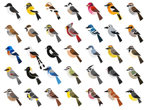 I drew some more North American Songbirds. Can you identify them all