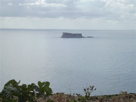 Filfla Malta The Islet Of Filfla Administratively Part O Flickr