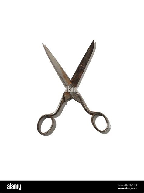 A Pair Of Scissors Stock Photo Alamy