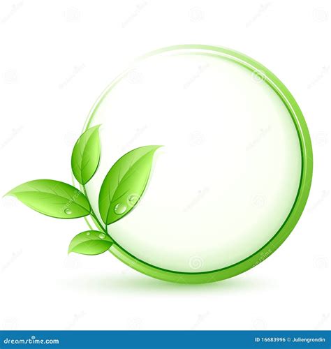 Green Eco Button Stock Vector Illustration Of Isolated