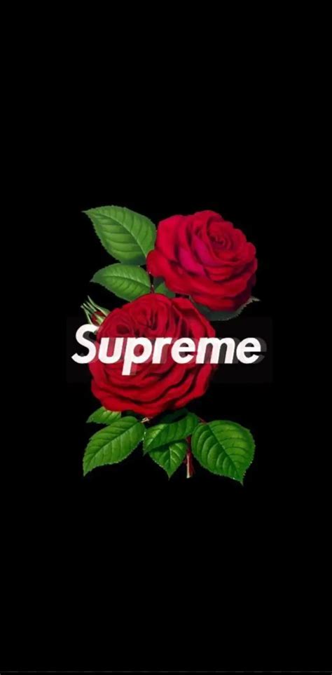 Supreme Rose Wallpaper By Youngpicasso Download On Zedge C7f1