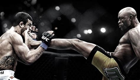 Ufc Ultimate Fighting Championship Information