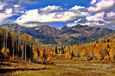 Rocky Mountain Fall Photograph By Southern Utah Photography
