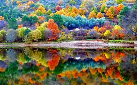 Beautiful Scenery Of Fall 1280x720 Wallpaper Teahub Io