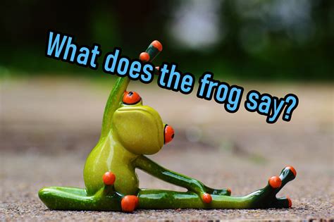 What Does The Frog Say Ayucielブログ