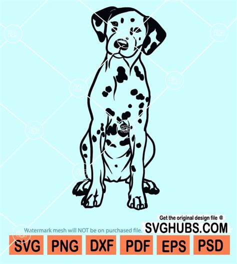 Dalmatian Sitting Dog Svg Dalmatian Dog Svg Dog Breed Svg Dalmatian