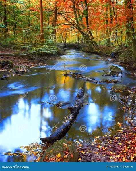 Calm Autumn River Royalty Free Stock Image Image 1602296