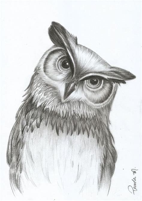 Animal Drawings Realistic In 2020 Owls Drawing Pencil Drawings Of