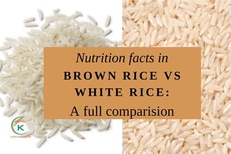 Nutrition Facts Brown Rice Vs White Rice
