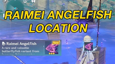 Raimei Angelfish Location Genshin Impact Youtube