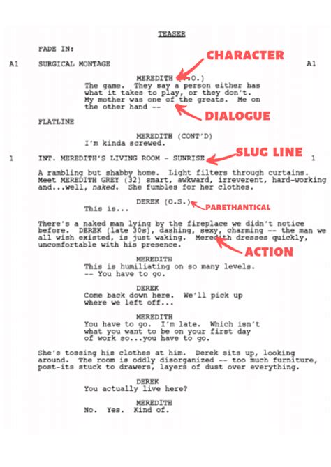 Screenplay Format For Authors Entering A Screenplay Contest Page
