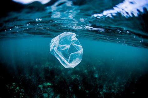 We Cant Wait Any Longer To Redefine Our Relationship With Plastic