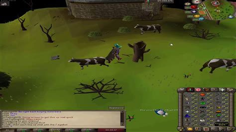 Osrs 400 Hours Of Grinding And T Bow From Raids Youtube