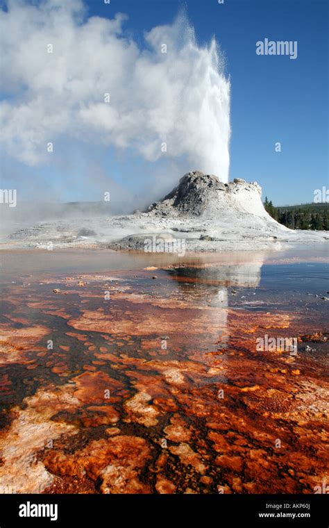 Castle Geyser Upper Geyser Basin Near Old Faithful Yellowstone Stock