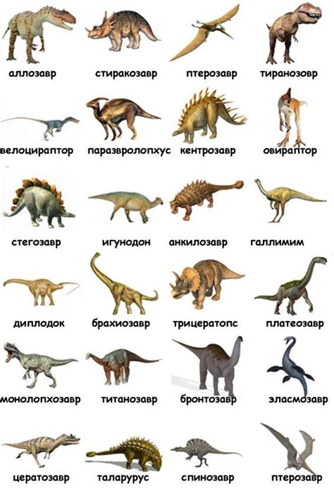 Динозавры Виды И Названия С Фото — Скачать фото