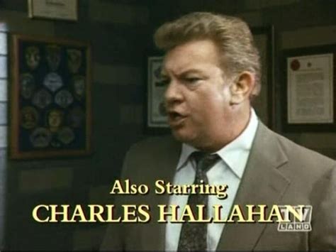 Charles Hallahans Biography Wall Of Celebrities