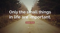 Top 30 Quotes and Sayings about "SMALL THINGS" | inspiringquotes.us